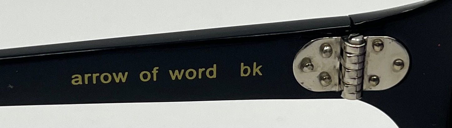 BLINDE by Richard Walker Arrow of Word BK Japan Oversized Aviator Sunglasses