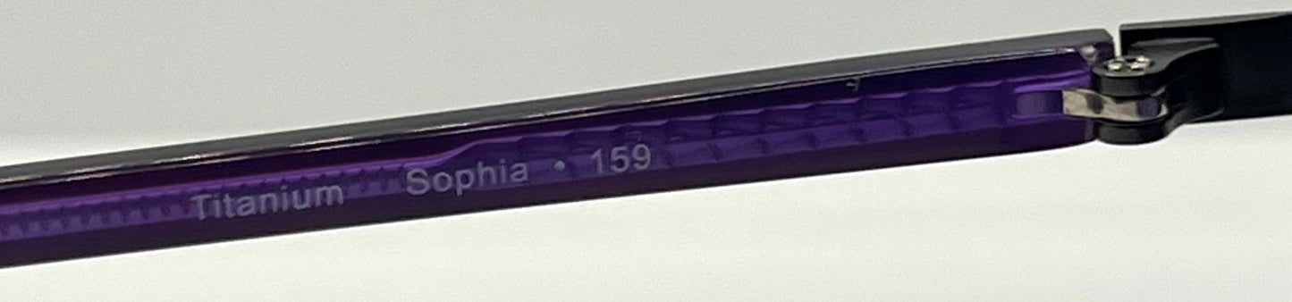 Kung Fu Eyes Sophia 159 Purple Titanium Sunglasses w|New, Custom Gradient Lenses