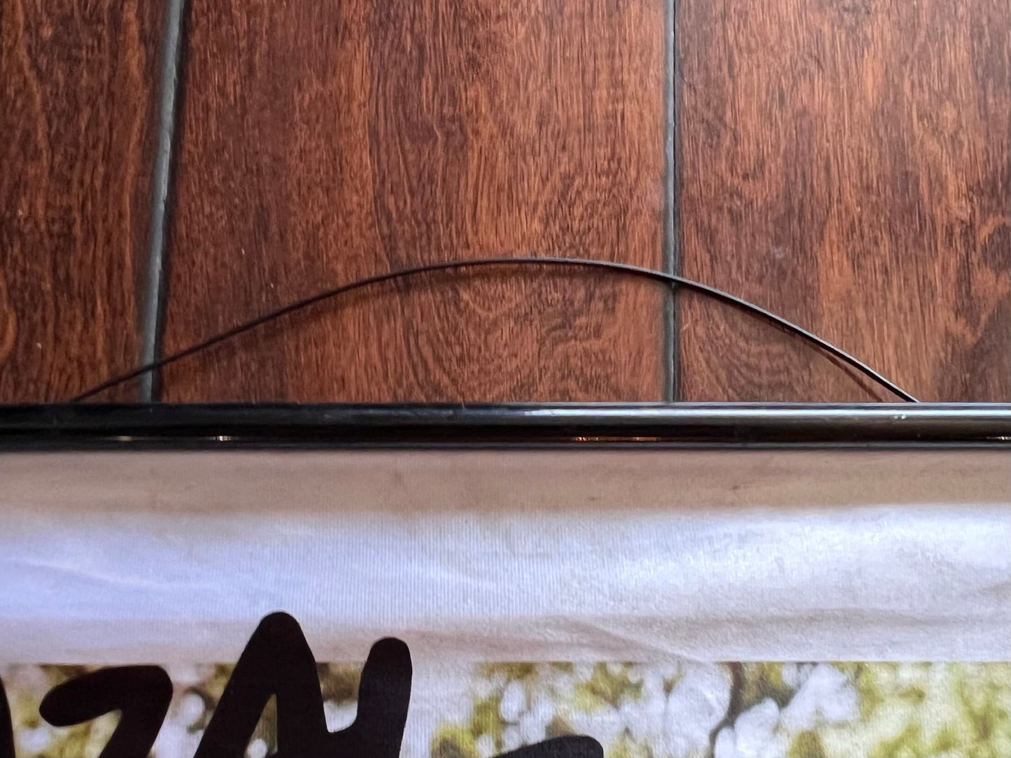 Cazal In-Store Advertising - Hanging Silk Pop Marketing Piece - 24” X 47” - Rare